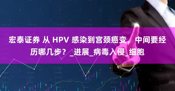 宏泰证券 从 HPV 感染到宫颈癌变，中间要经历哪几步？_进展_病毒入侵_细胞