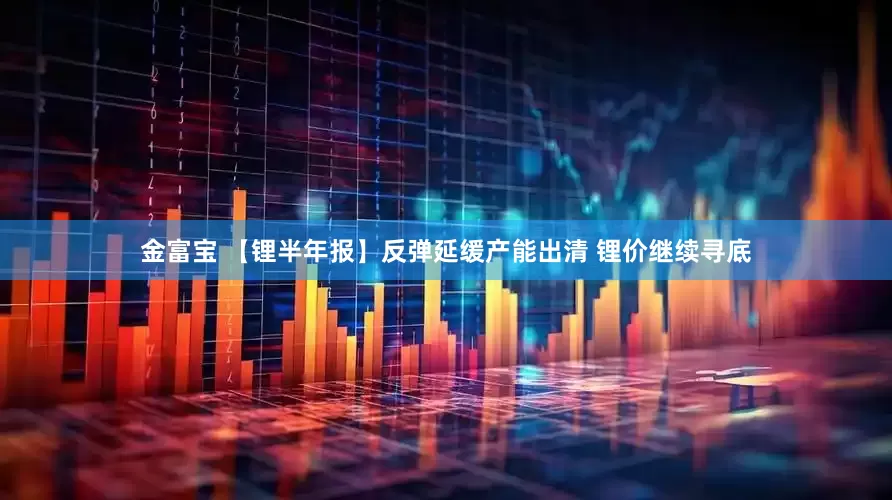 金富宝 【锂半年报】反弹延缓产能出清 锂价继续寻底