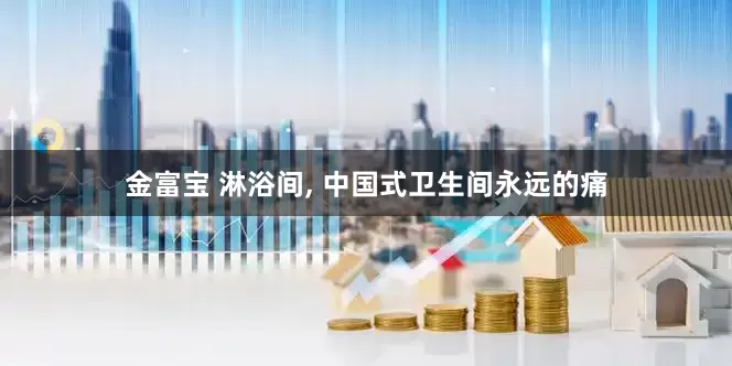 金富宝 淋浴间, 中国式卫生间永远的痛