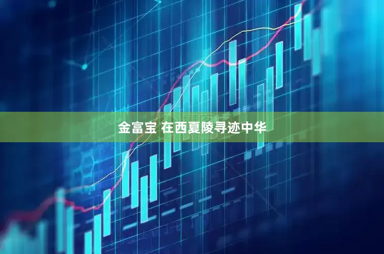 金富宝 在西夏陵寻迹中华
