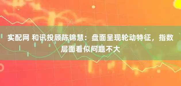 实配网 和讯投顾陈锦慧：盘面呈现轮动特征，指数层面看似问题不大