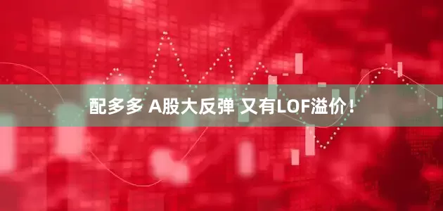 配多多 A股大反弹 又有LOF溢价！