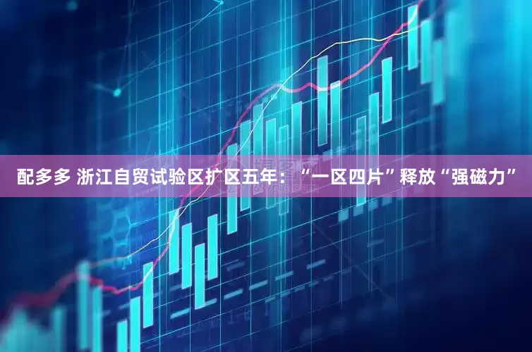 配多多 浙江自贸试验区扩区五年：“一区四片”释放“强磁力”