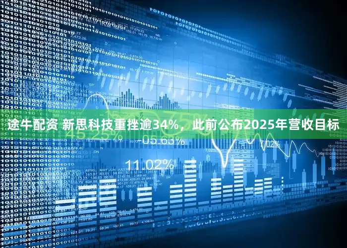 途牛配资 新思科技重挫逾34%，此前公布2025年营收目标