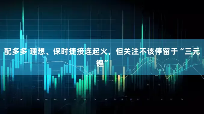 配多多 理想、保时捷接连起火，但关注不该停留于“三元锂”