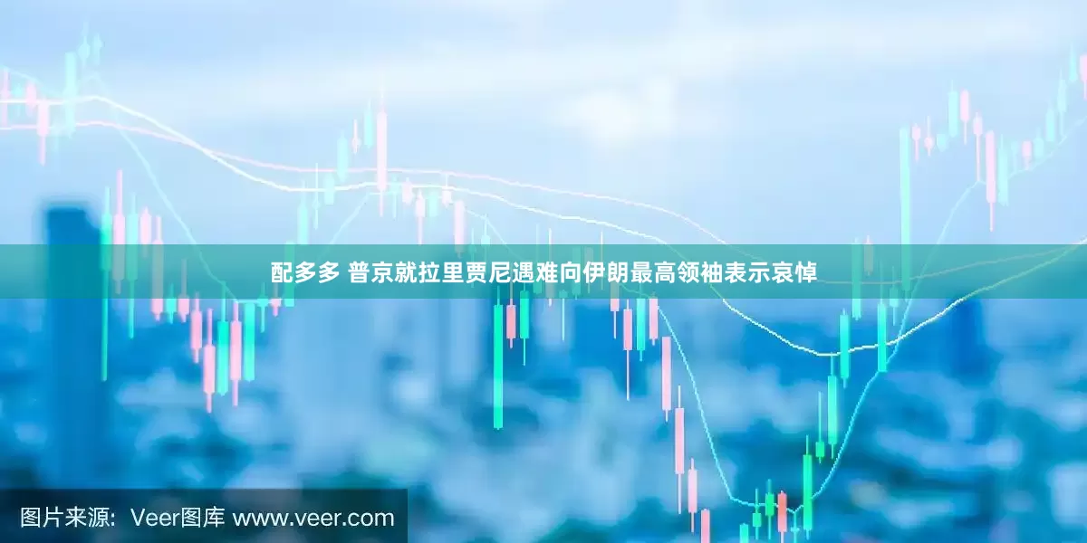 配多多 普京就拉里贾尼遇难向伊朗最高领袖表示哀悼